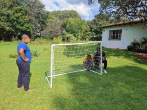 clarion house soccer poles assembly 3