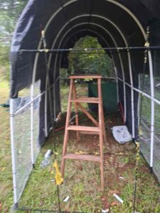 clarion house building a chicken coop